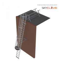 Angled Cage Access Ladder with 2.0M Access Walkway/Guardrail Kit