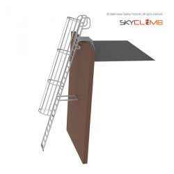 Angled Cage Parapet Access Ladder with Angled Handrails