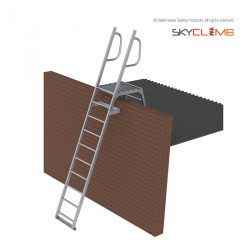 Mini Parapet Ladder with Angled Handrails