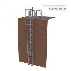 Vertical Cage Access Ladder with 2.0M Access Walkway/Guardrail Kit