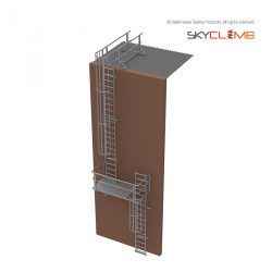 Vertical Cage Access Ladder with 2.0M Access Walkway/Guardrail kit & Change of Direction Platform