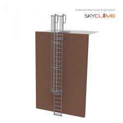 Vertical Cage Access Ladder with Vertical Handrails & 1.0M Walkway Kit