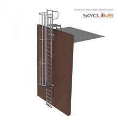 Vertical Cage Parapet Access Ladder with Vertical Handrails