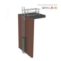Vertical Line Access Ladder with 2m Walkway/Guardrail Kit