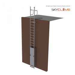 Vertical Line Ladder with Vertical Handrails & 1m Walkway Kit