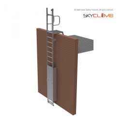 Vertical Line Parapet Ladder with Vertical Handrails