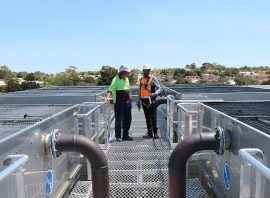 CSIRO Pawsey Platform
